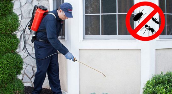 Çayıralan Bit İlaçlama böcek ilaçlama ve haşere kontrolü — ilaclama-tr.com